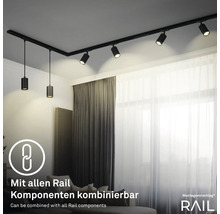 Système de rail noir avec spots et suspensions dans un salon