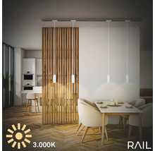 Salle à manger avec table, chaises, lambris en bois et spots sur rail