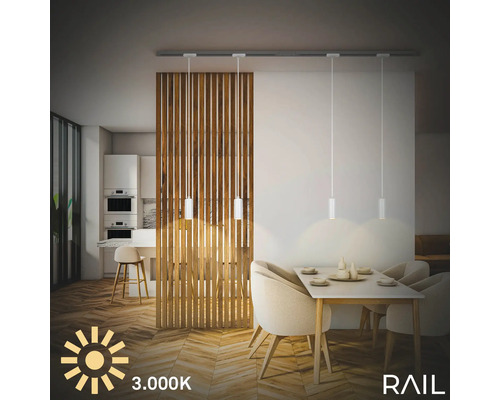 Salle à manger avec table, chaises, lambris en bois et spots sur rail