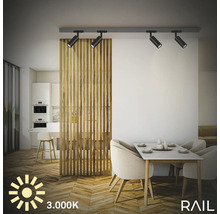 Salon avec système de rails avec spots, table à manger et séparation de pièce