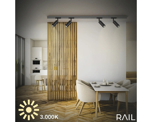 Salon avec système de rails avec spots, table à manger et séparation de pièce