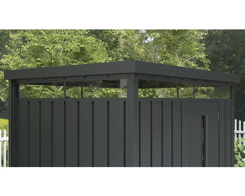 Armoire de jardin avec porte et imposte vitrée devant des arbres