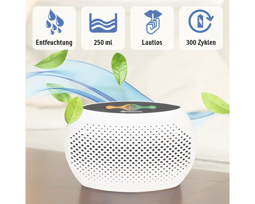 Déshumidificateur Sonnenkönig avec symboles pour déshumidification, 250 ml, silencieux et 300 cycles