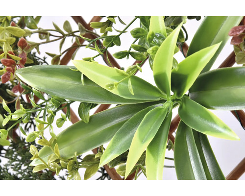 Plante artificielle avec des feuilles vertes et un cadre en bois