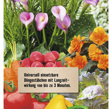Langzeit-Düngestäbchen für universelle Anwendungen mit einer Wirkungsdauer von bis zu 3 Monaten.