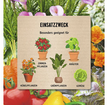 Illustration verschiedener Pflanzenarten und ihres Verwendungszwecks.