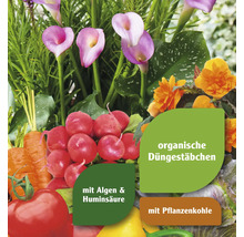 Gemüse und Blumen mit der Aufschrift organische Düngestäbchen mit Algen, Huminsäure und Pflanzenkohle