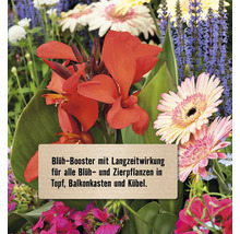 Blumengarten mit verschiedenen blühenden Pflanzen und einem Schild mit dem Text: Blüh-Booster mit Langzeitwirkung für alle Blüh- und Zierpflanzen in Topf, Balkonkasten und Kübel.