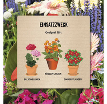 Informationstafel mit Anwendungszweck für Balkonblumen, Kübelpflanzen und Zimmerpflanzen