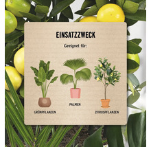Informationstafel zur Verwendung von Grünpflanzen, Palmen und Zitruspflanzen.