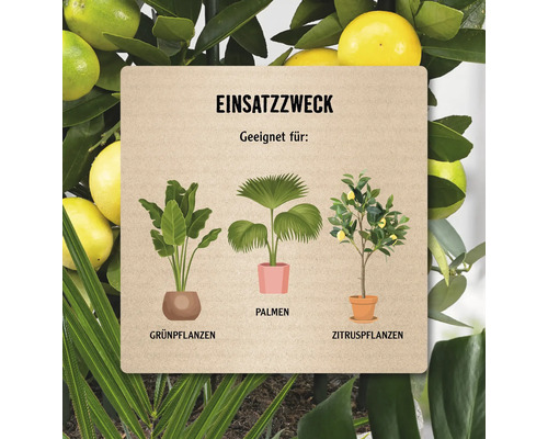 Informationstafel zur Verwendung von Grünpflanzen, Palmen und Zitruspflanzen.