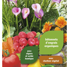 Potager avec fleurs et bâtonnets d''engrais organiques pour légumes