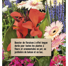 Arrangement floral avec des fleurs rouges et des feuilles vertes