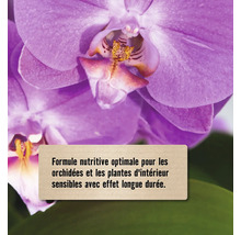 Formule nutritive optimale pour les orchidées et les plantes d''intérieur sensibles avec effet longue durée.