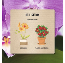 Illustration de l''utilisation pour les orchidées et les plantes d''intérieur