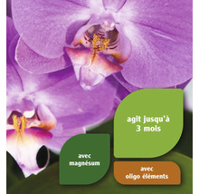 Gros plan de fleurs d''orchidées indiquant que le produit dure jusqu''à trois mois, contient du magnésium et fournit des oligo-éléments.