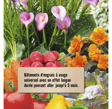 Potager avec bulbes, radis, carottes, tomates, poivrons et bâtonnets d''engrais