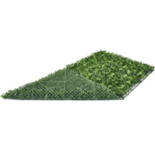 Mur végétal Tropical 200 x 100 cm