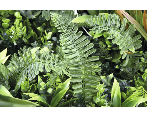 Gros plan d''un mur végétal artificiel avec des fougères et des plantes vertes.