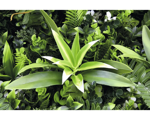Mur végétal artificiel avec diverses plantes et feuilles vertes