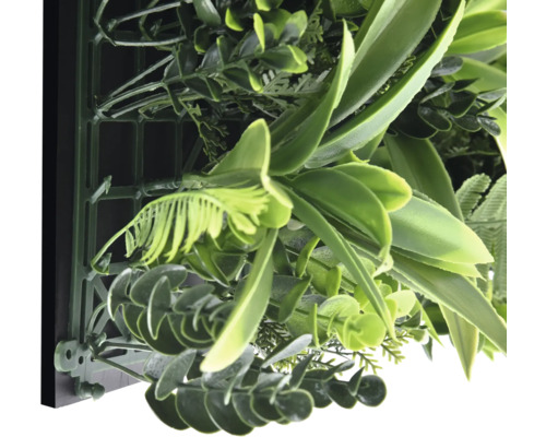 Détail d''un mur végétal artificiel avec différentes feuilles vertes