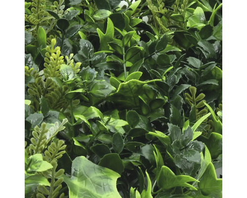 Mur végétal artificiel avec diverses feuilles vertes