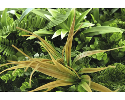 Gros plan sur un mur végétal artificiel avec diverses feuilles vertes