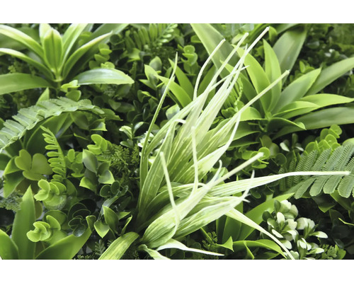 Gros plan d''un mur végétal artificiel avec différentes plantes vertes