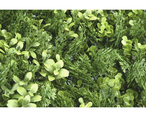 Gros plan de plantes artificielles