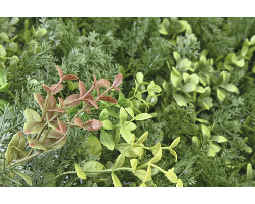 Gros plan d''un mur végétal artificiel avec différentes nuances de vert