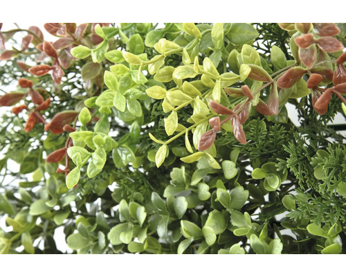 Gros plan sur des plantes artificielles avec des feuilles vertes et brunes