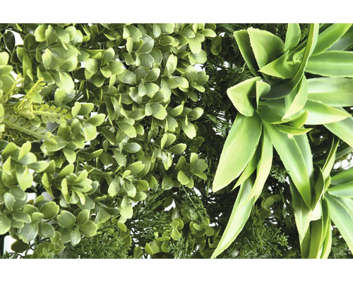 Mur végétal artificiel avec différentes structures de feuilles.