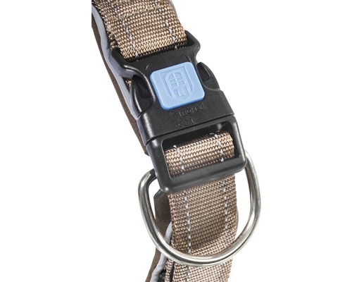 Vue détaillée d''un collier pour chien avec boucle et anneau métallique