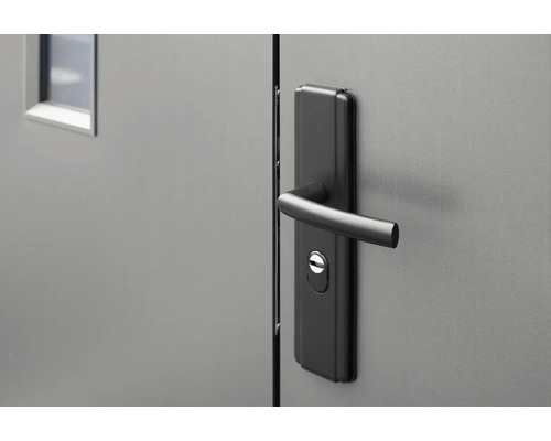 Gros plan d''une porte avec une garniture de poignée et une petite fenêtre