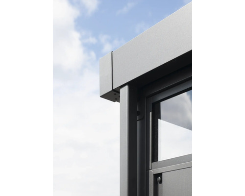 Vue détaillée d''une maison de jardin moderne avec fenêtre et cadre en aluminium