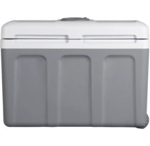 Glacière à roulettes pour stocker et transporter aliments et boissons