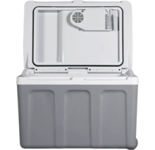 Glacière portable ouverte pour le transport d''aliments