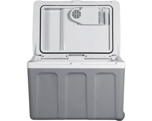 Glacière portable ouverte pour le transport d''aliments