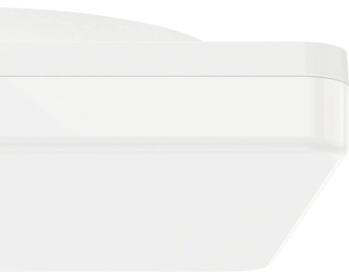 Detailansicht einer weißen Deckenleuchte