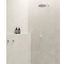 Douche à l''italienne avec pomme de tête et douchette, ainsi qu''une surface de rangement