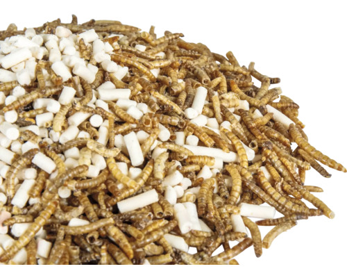 Mehlwürmer und Futter