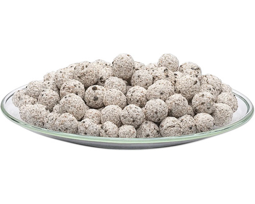 Billes d''argile pour culture hydroponique dans une assiette