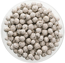 Bactéries de filtre de bassin dans un récipient en verre