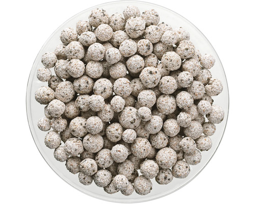 Bactéries de filtre de bassin dans un récipient en verre