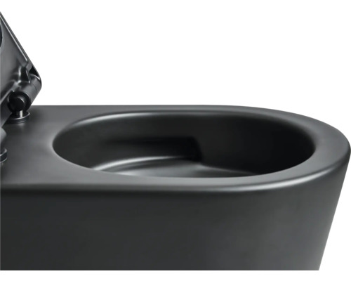 Vue détaillée de toilettes suspendues noires.