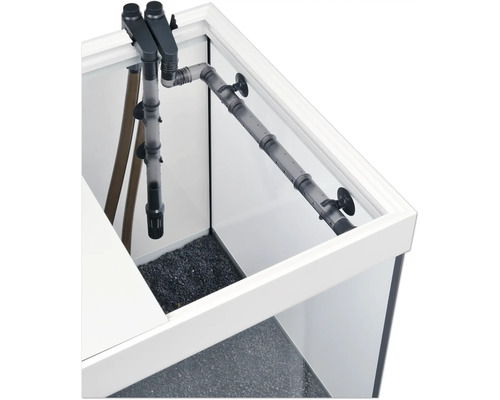 Innenansicht eines Aquariums mit Filteranlage