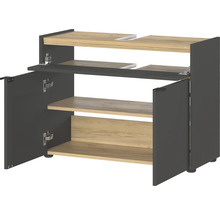 Meuble sous-vasque avec portes ouvertes et étagères
