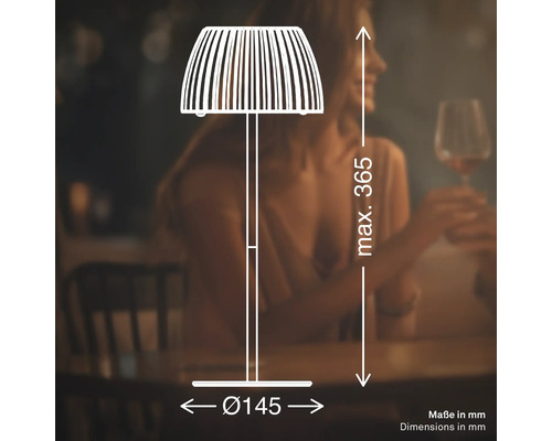 Technische Zeichnung einer Stehlampe mit Abmessungen: maximale Höhe 365 Millimeter, Durchmesser 145 Millimeter