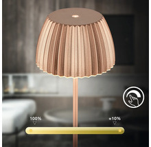 Dekorative Tischleuchte mit Dimmfunktion