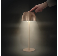 Dekorative Tischleuchte mit Berührungssensor und Licht.